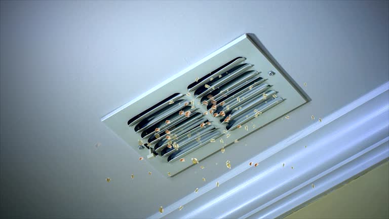 Best Air Duct Cleaning Near Me  in Gman, IL