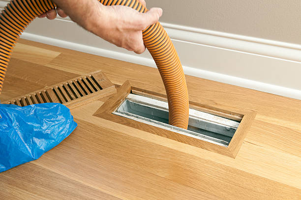 Best Air Vent Cleaning Services  in Gman, IL