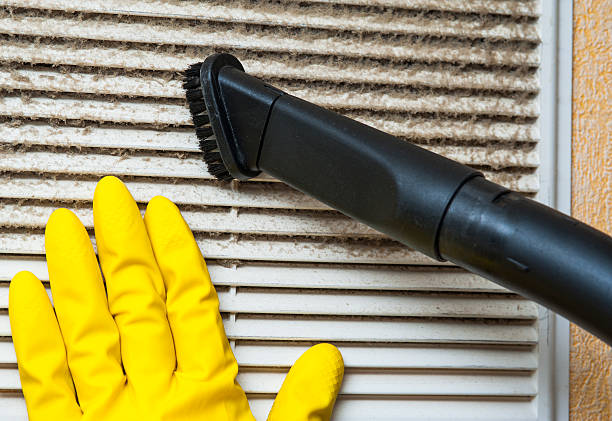 Best HVAC Maintenance and Cleaning  in Gman, IL